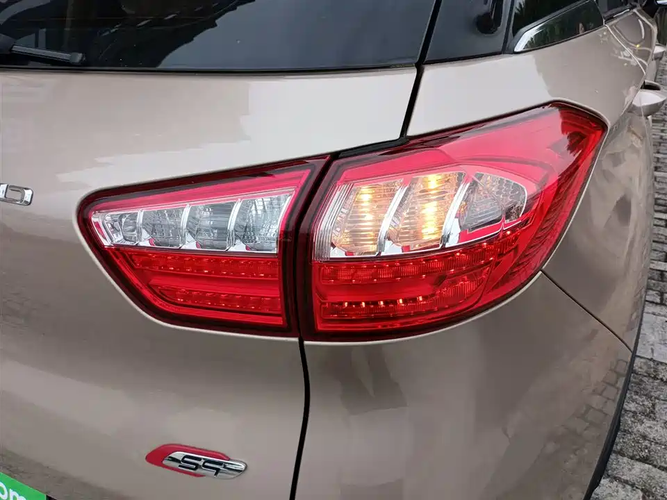 Leopaard Cheetah CS9