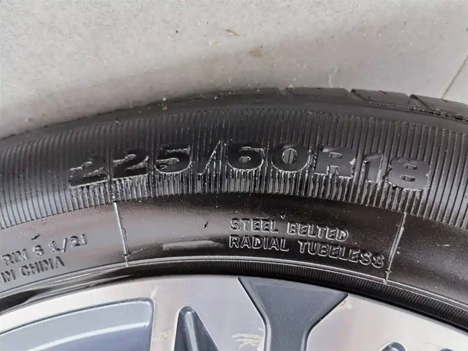 Leopaard Cheetah CS10