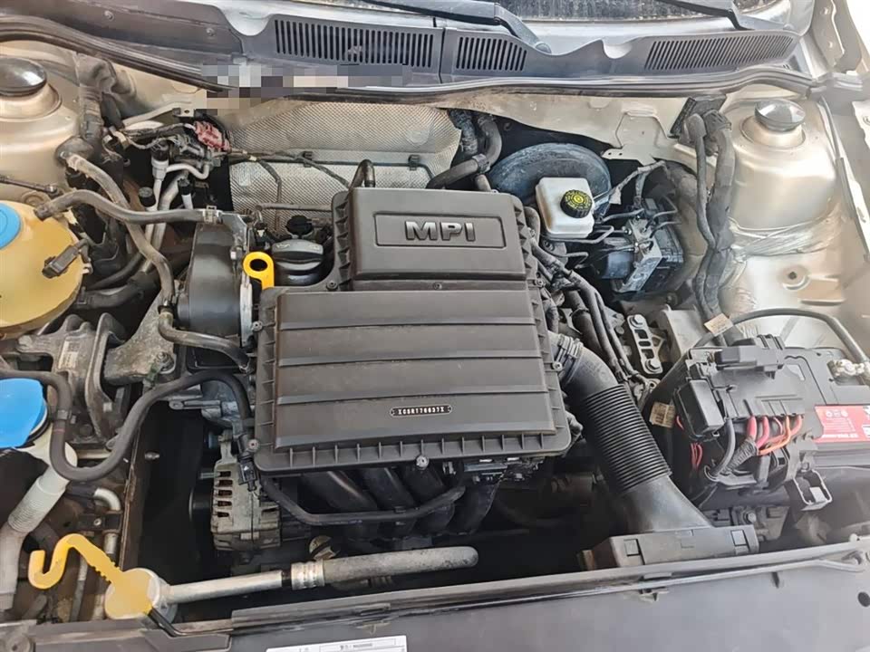 Volkswagen C-TREK Wei Collar