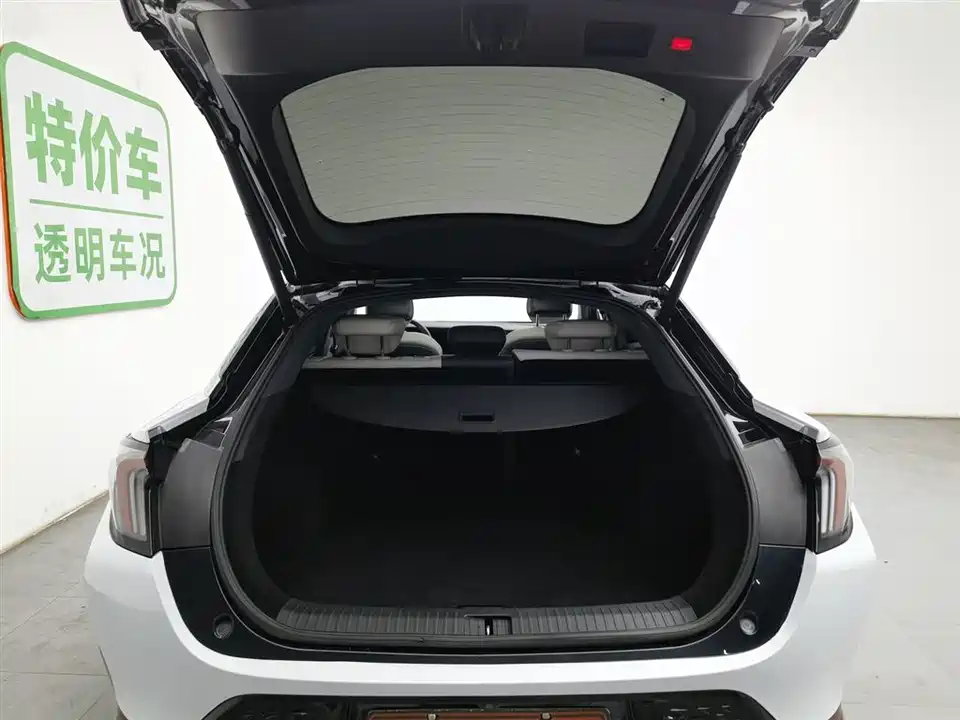 ARCFOX Polar Fox Alpha S