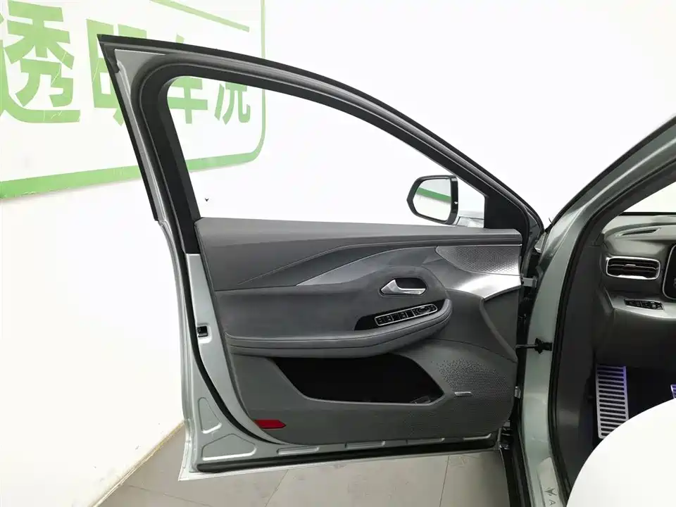 ARCFOX Polar Fox Alpha S