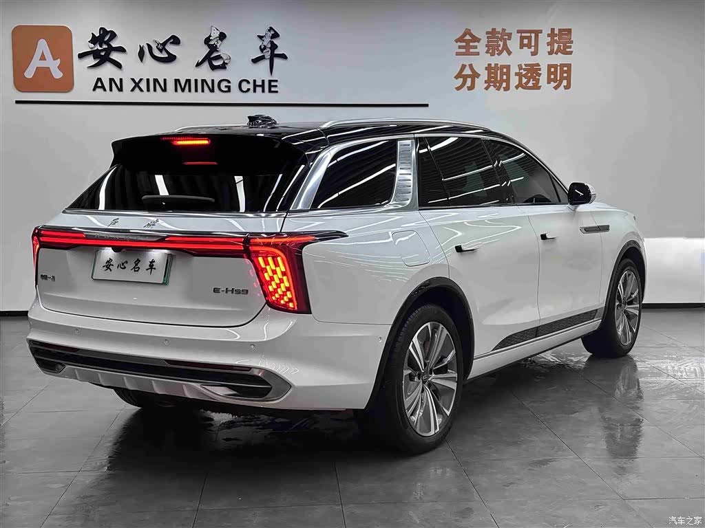 Hongqi E-HS9, 2023 3