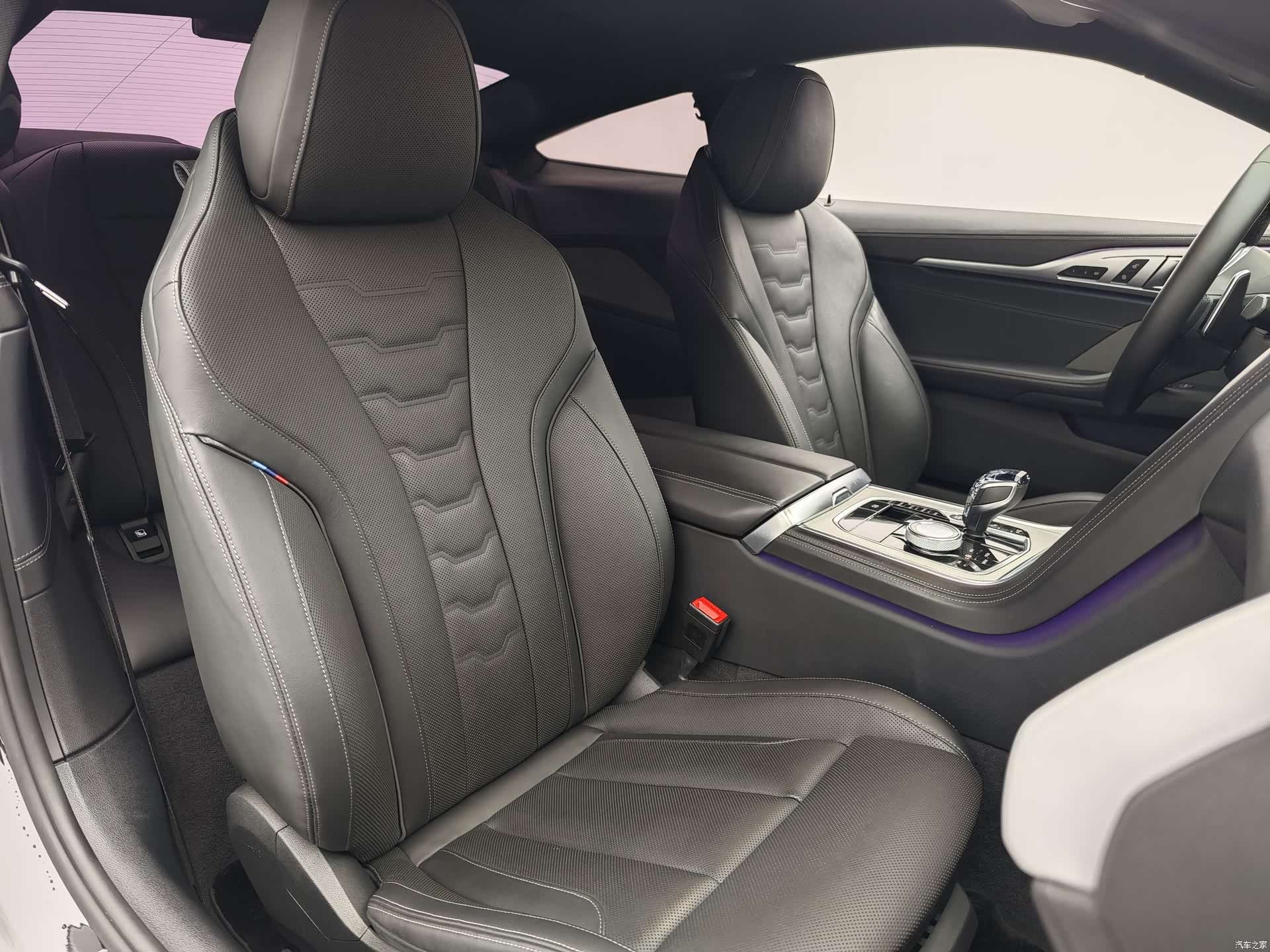 BMW 8 Series, 2020 21