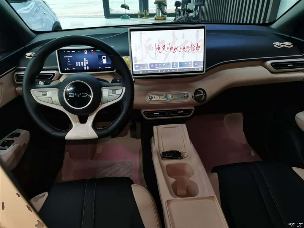 BYD Seagull, 2025 10