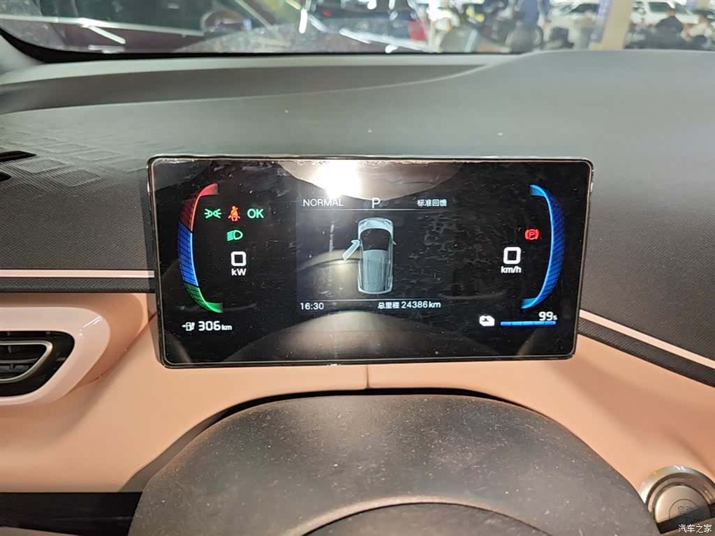 BYD Seagull, 2024 12