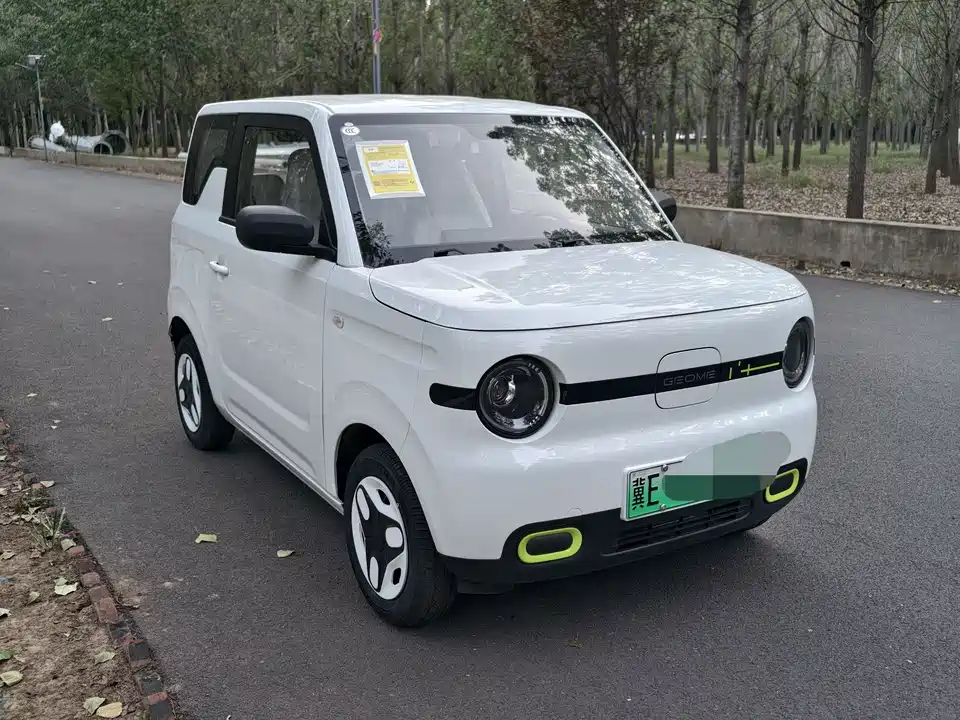 Geely Galaxy panda