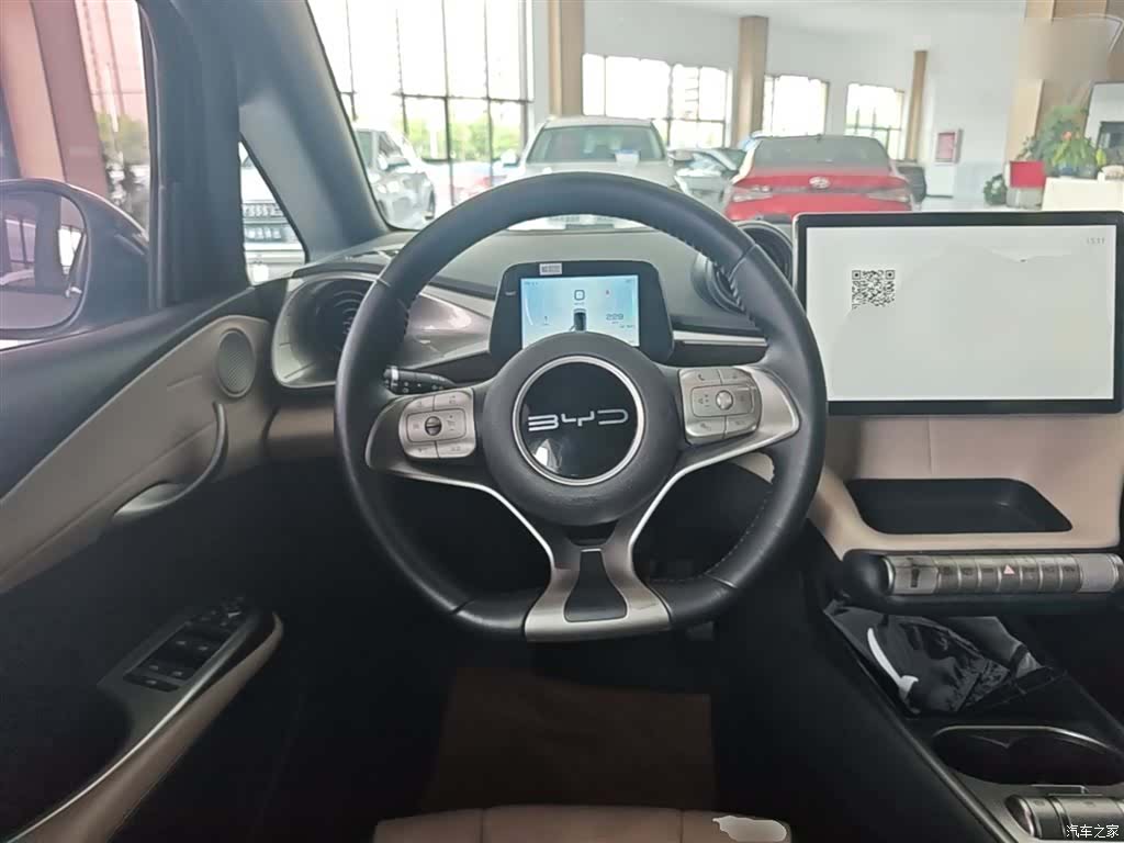 BYD Dolphin, 2023 11