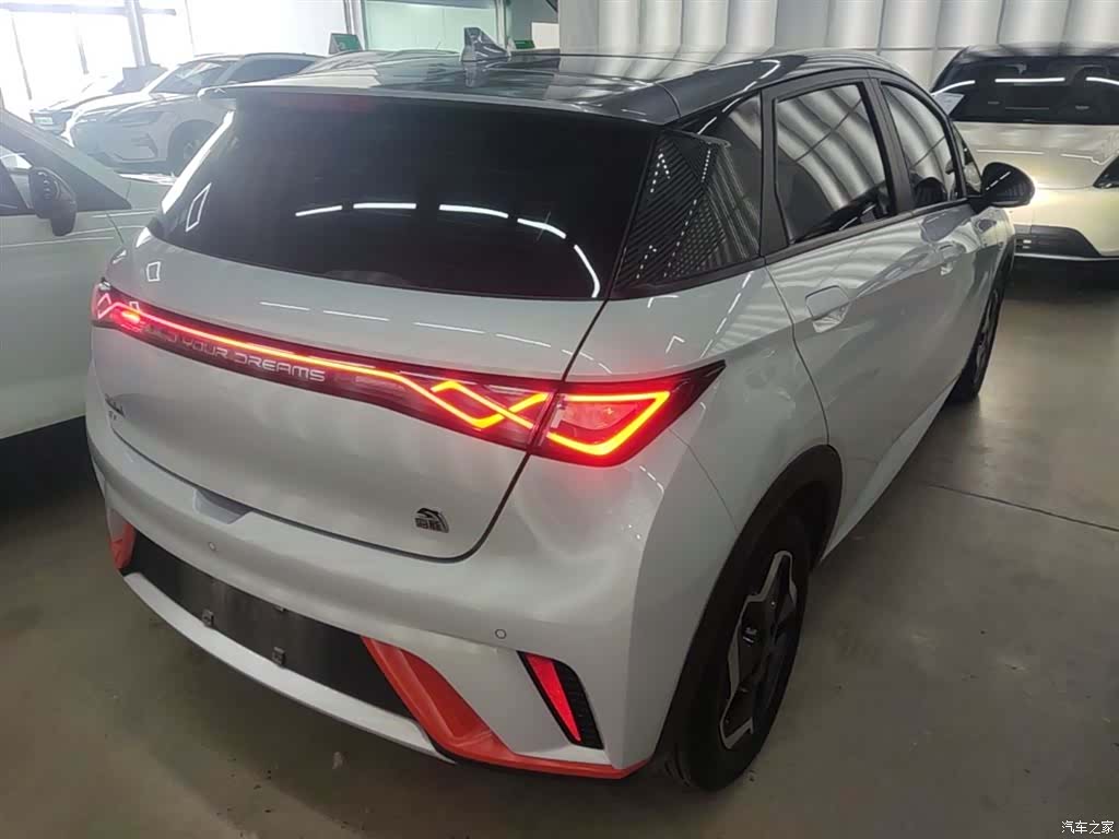 BYD Dolphin, 2021 7