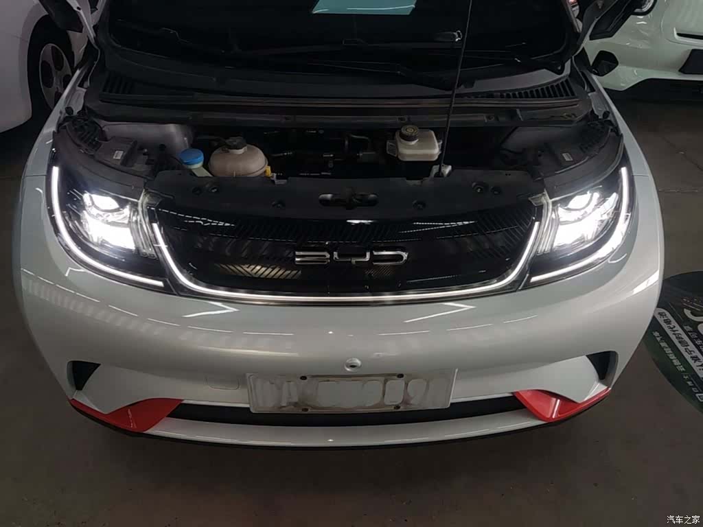 BYD Dolphin, 2021 20