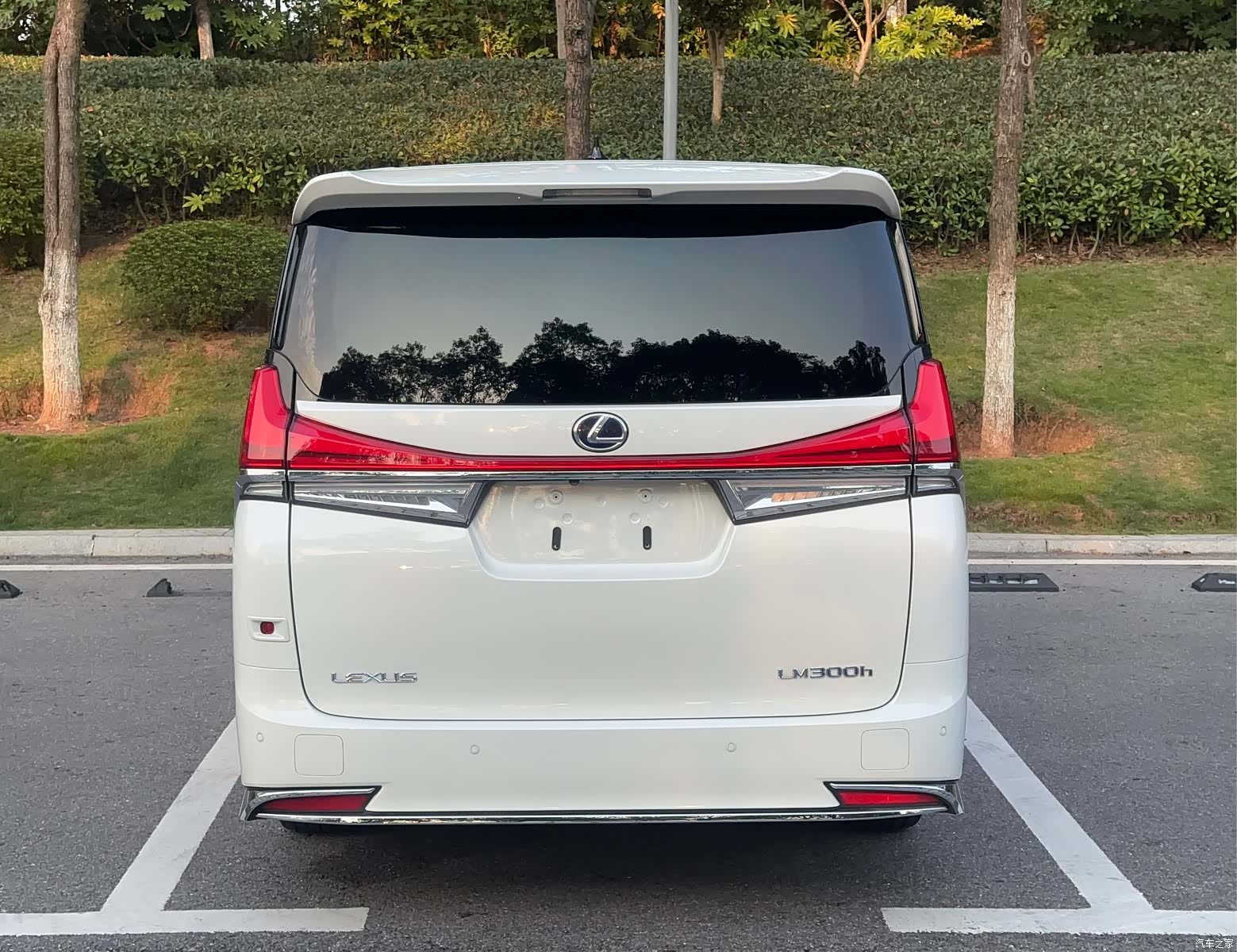 Lexus LM, 2021 все фото