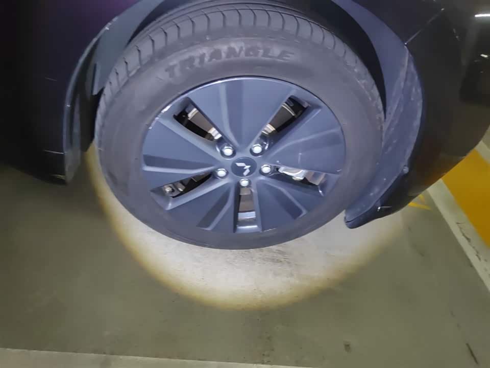 Wuling Wuling Starlight