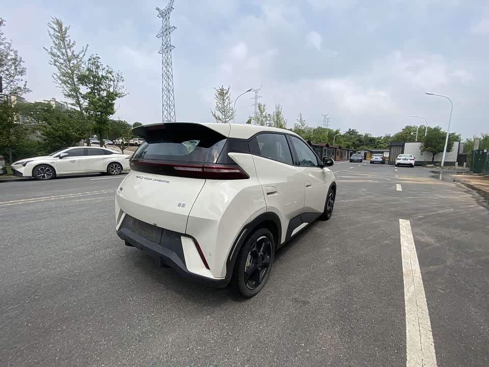 BYD Seagull
