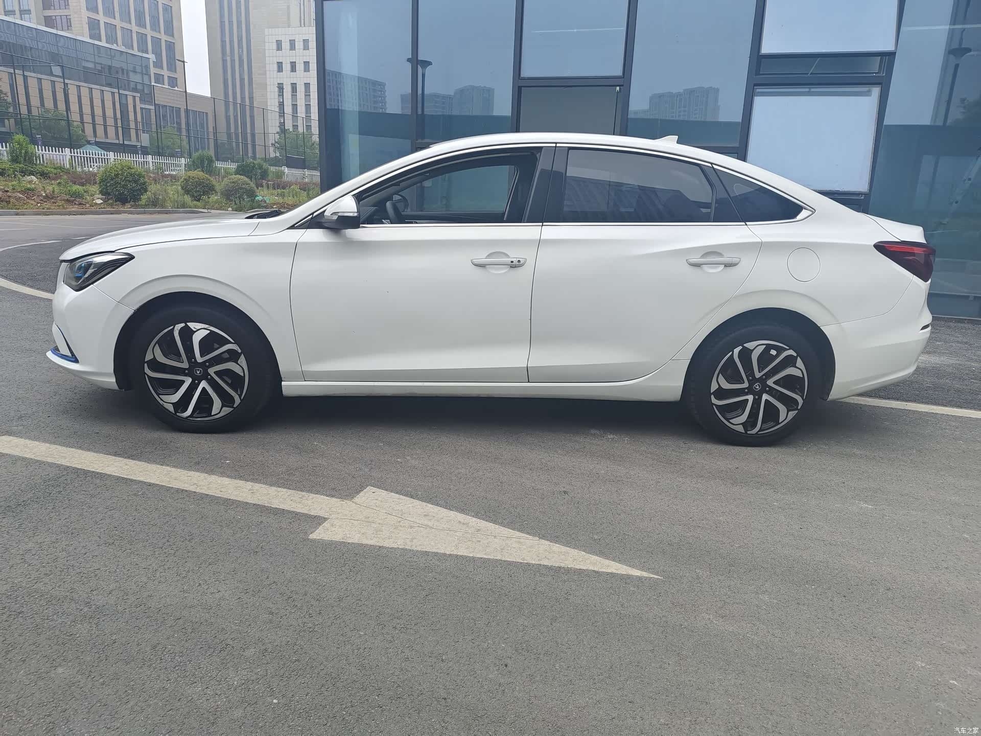 Changan Eado, 2019 2