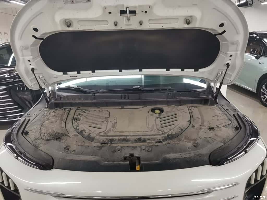 DongFeng V9, 2024 20