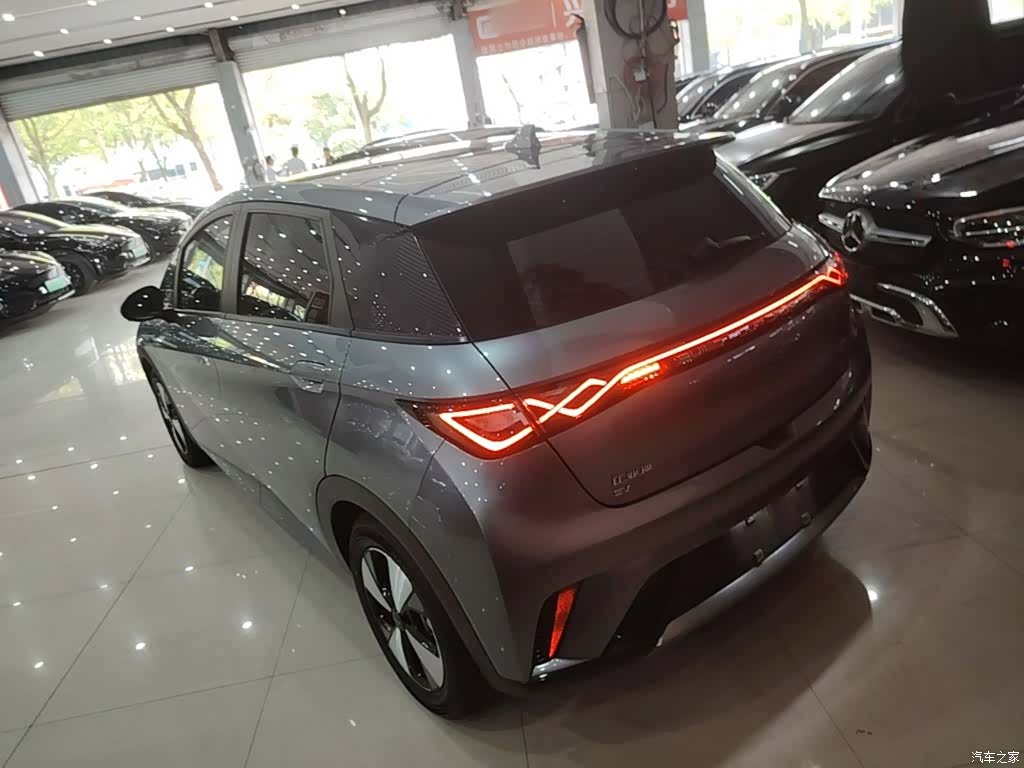 BYD Dolphin, 2024 все фото