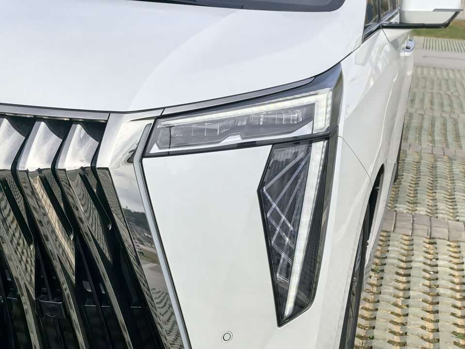 Trumpchi Trumpchi M8