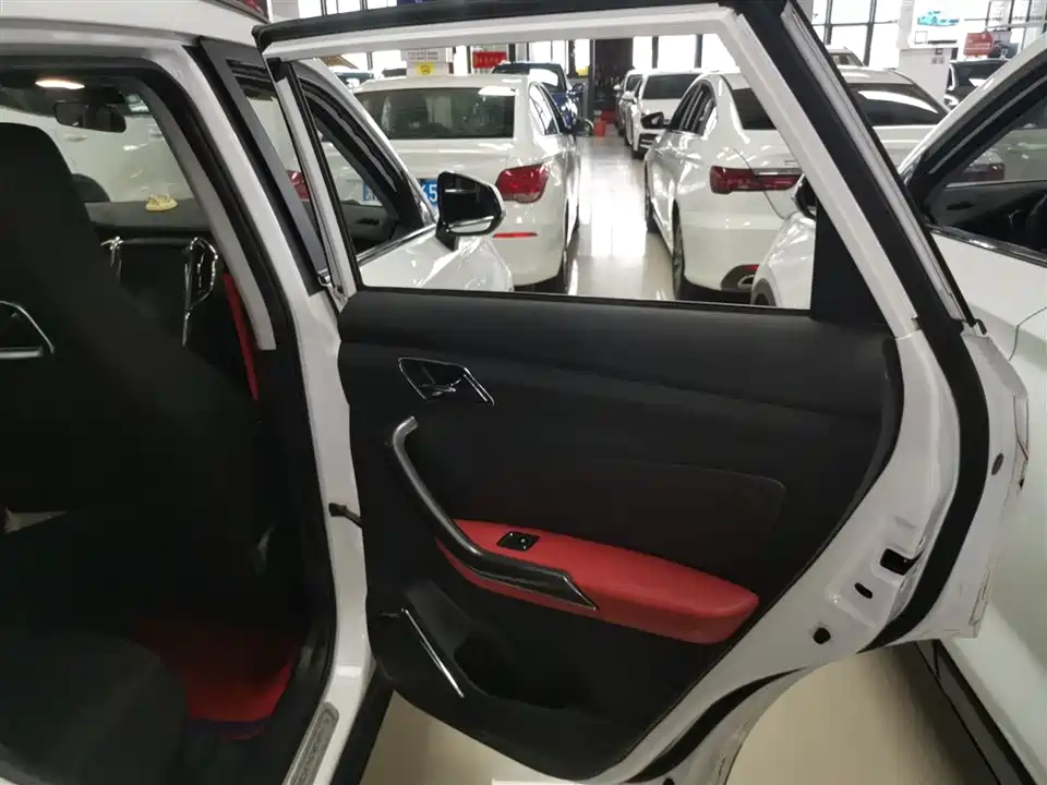 Leopaard Cheetah CS9