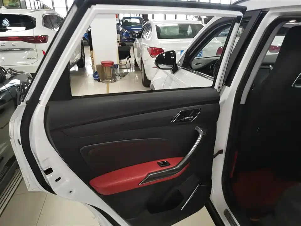 Leopaard Cheetah CS9