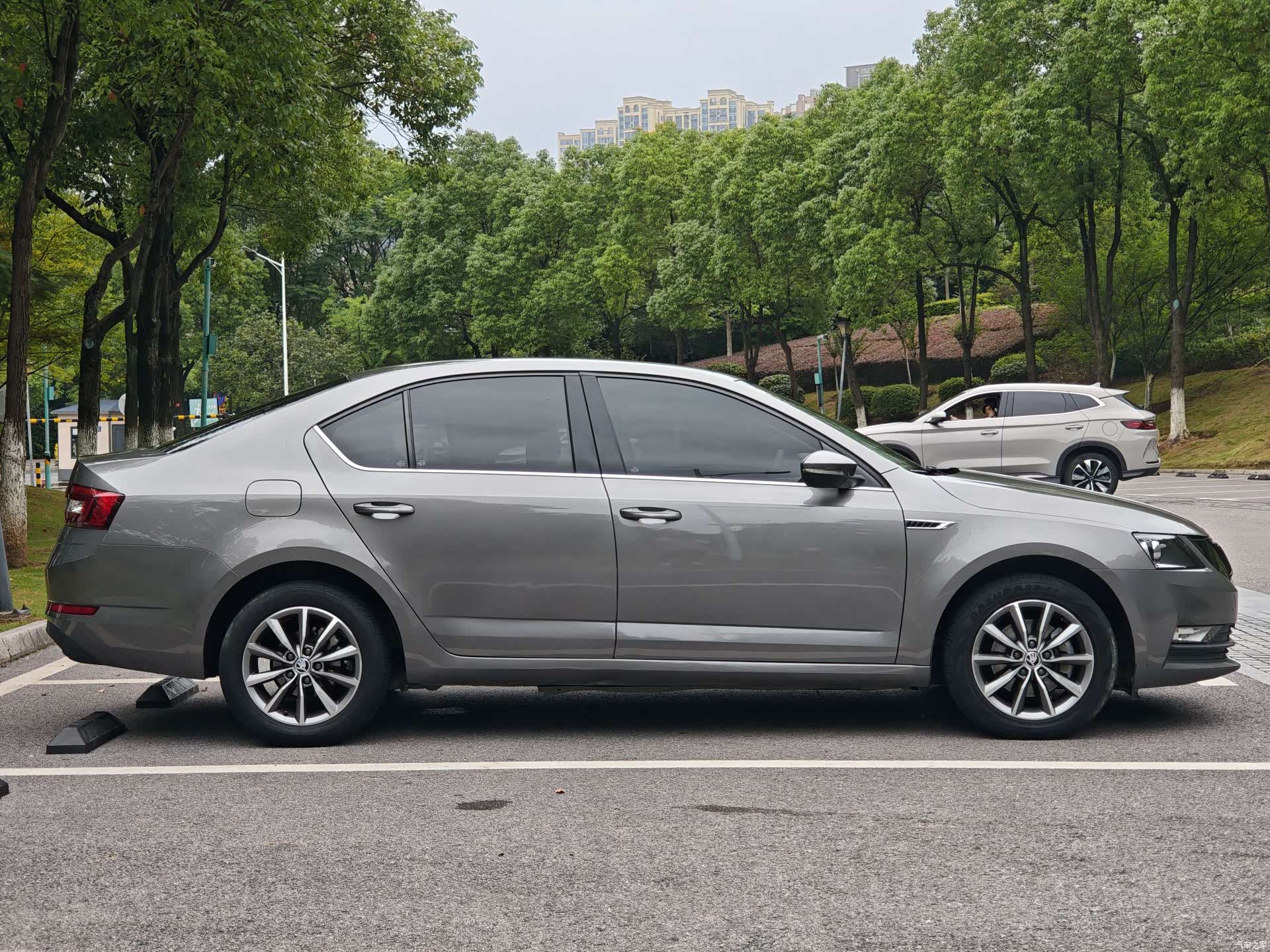 Skoda Octavia, 2019 8