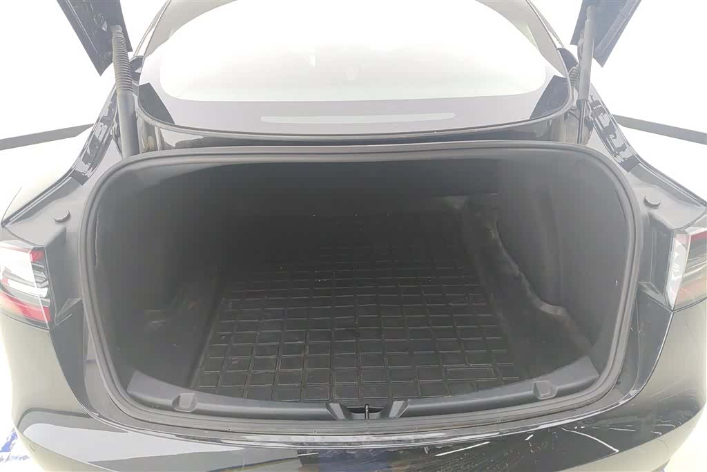 Tesla Model 3, 2021 4