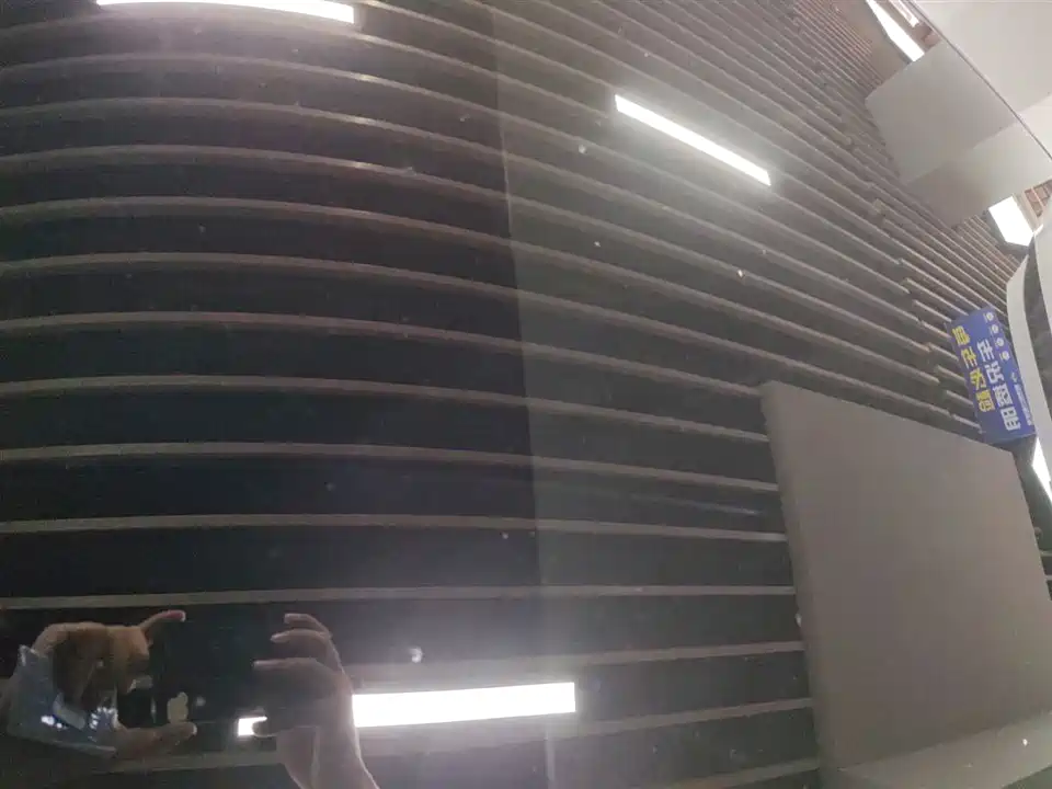 DEEPAL Dark blue S05