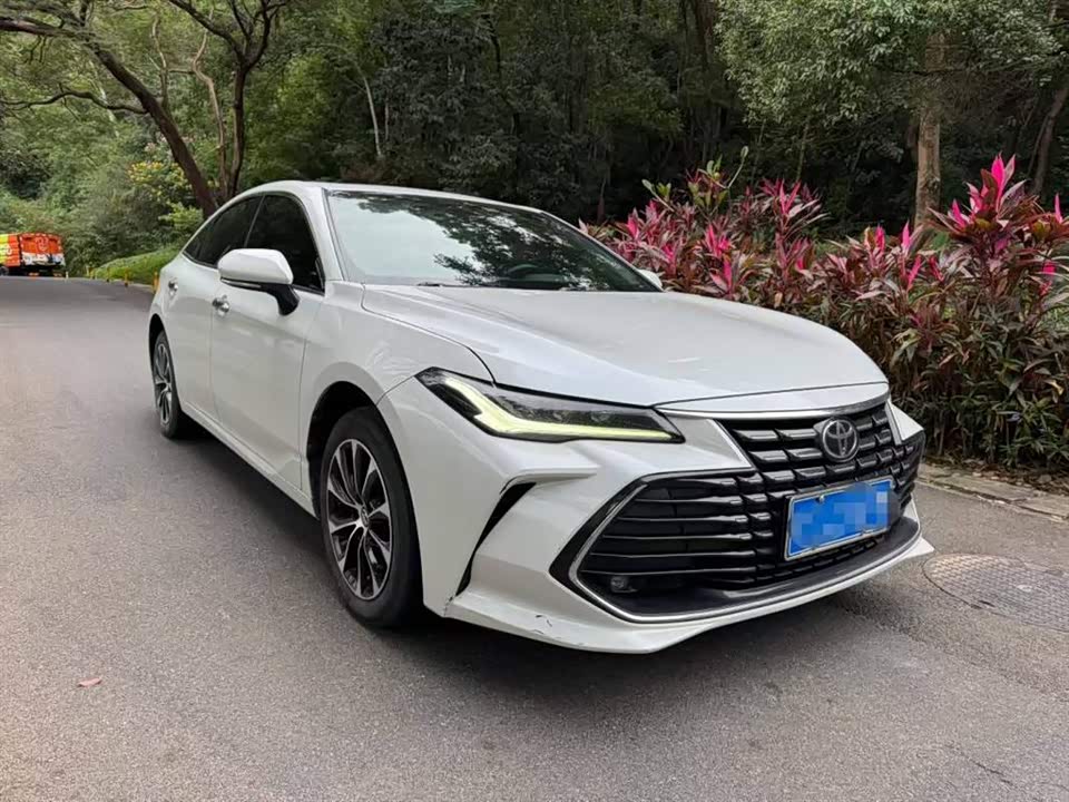 Toyota Asian dragon