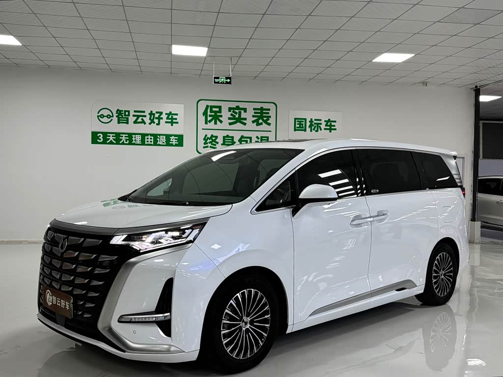 Denza D9