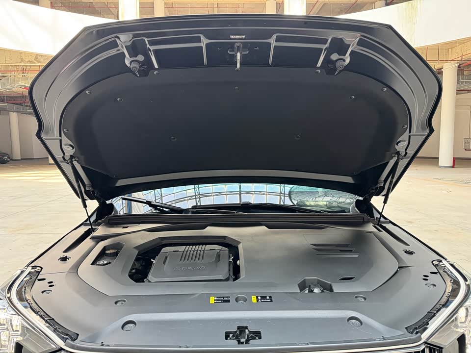 Trumpchi Trumpchi GS8