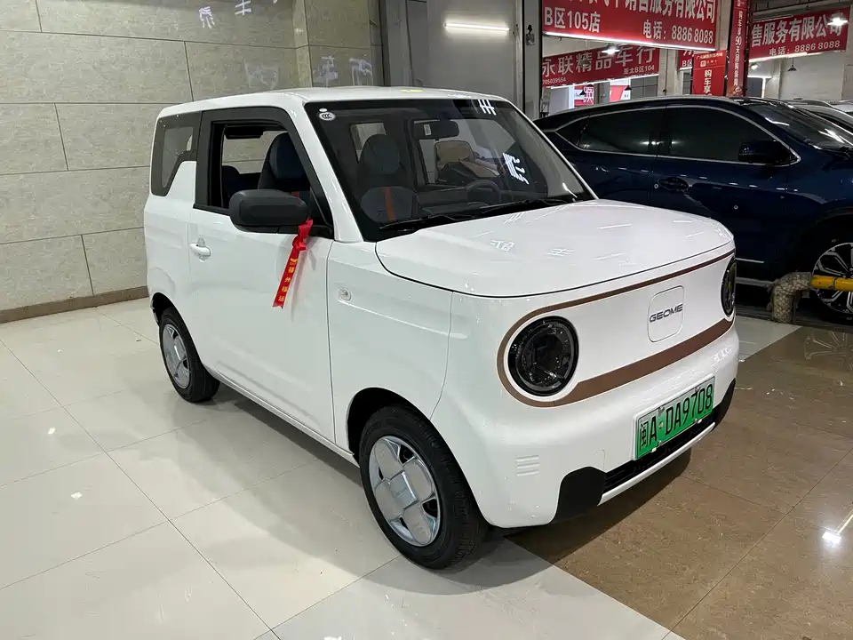 Geely Galaxy panda
