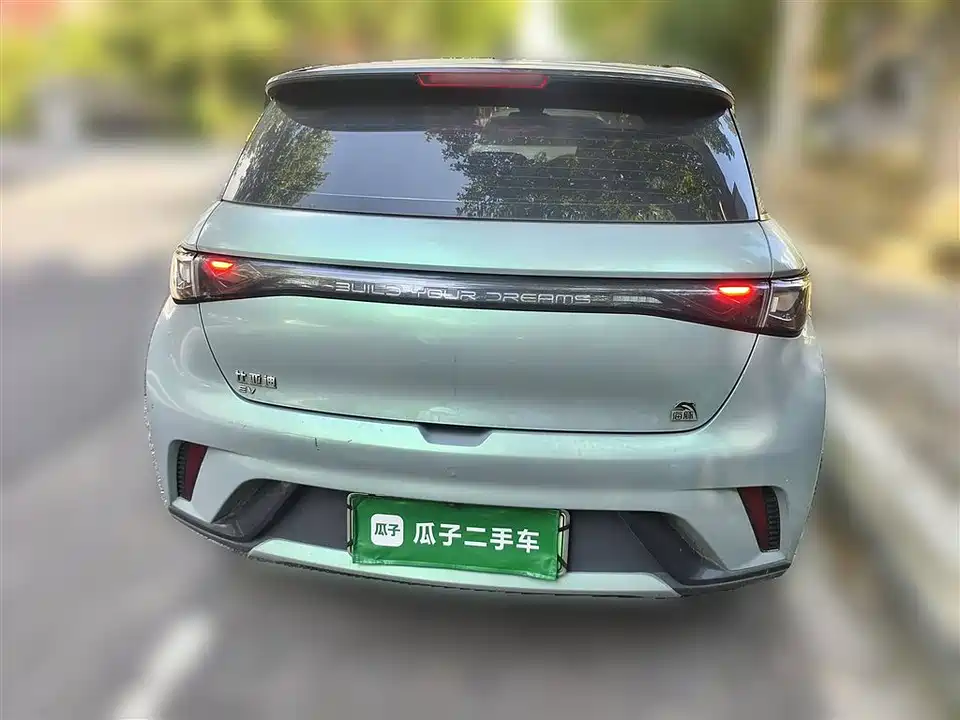 BYD dolphin