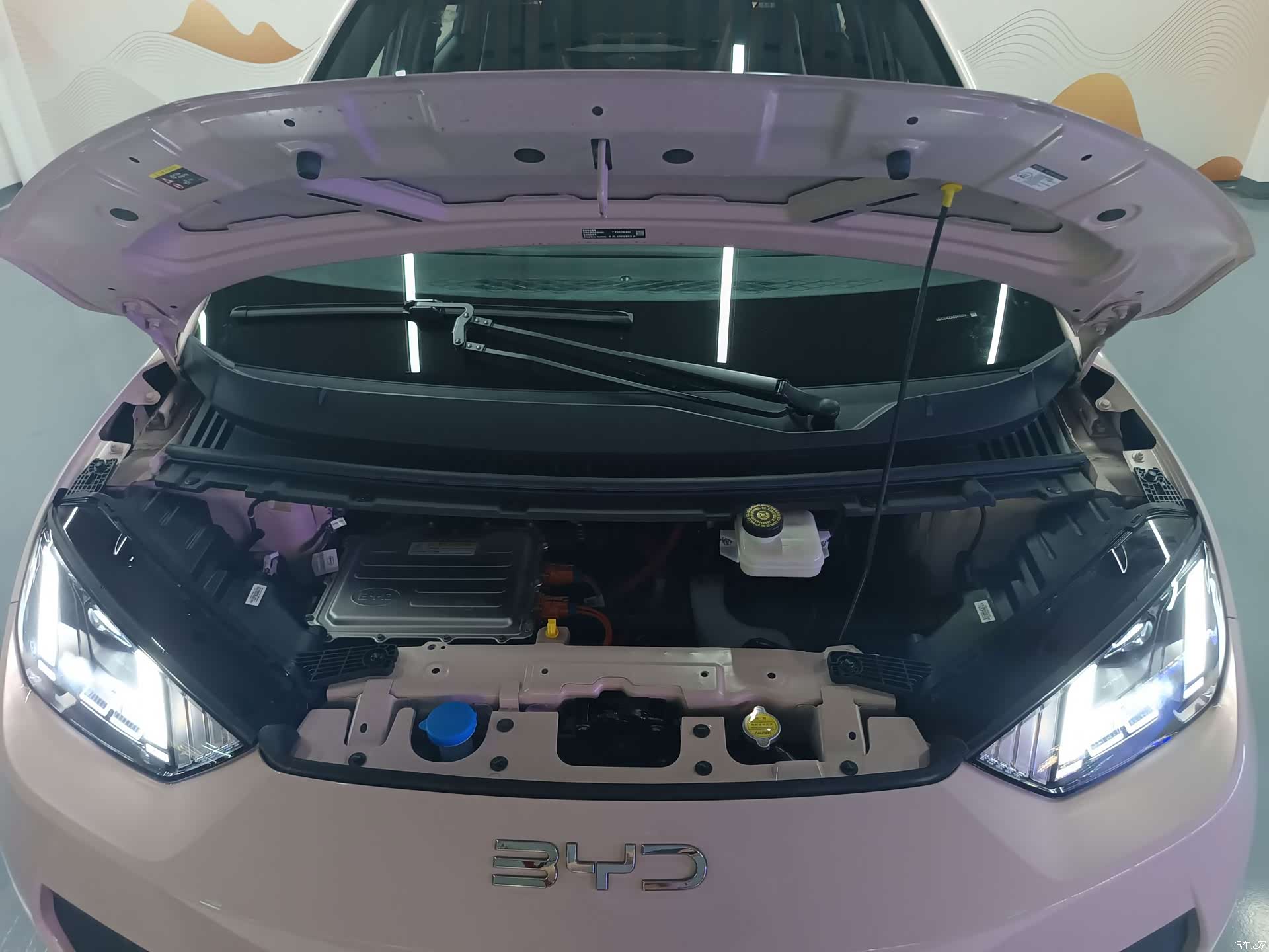 BYD Seagull, 2025 все фото