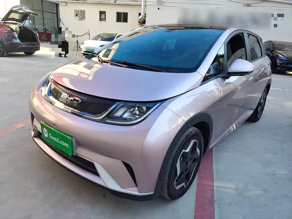 BYD dolphin
