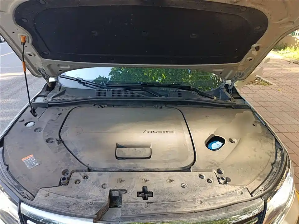 Roewe RX5 New energy