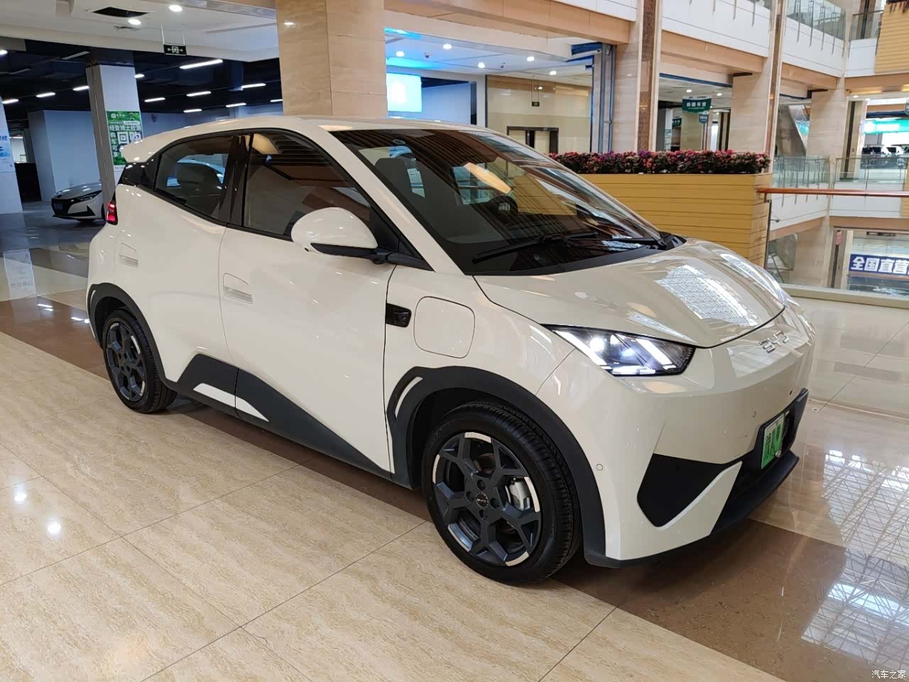 BYD Seagull, 2025 3