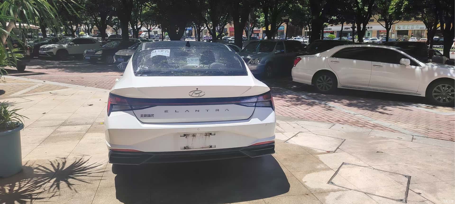 Hyundai Elantra, 2022 8