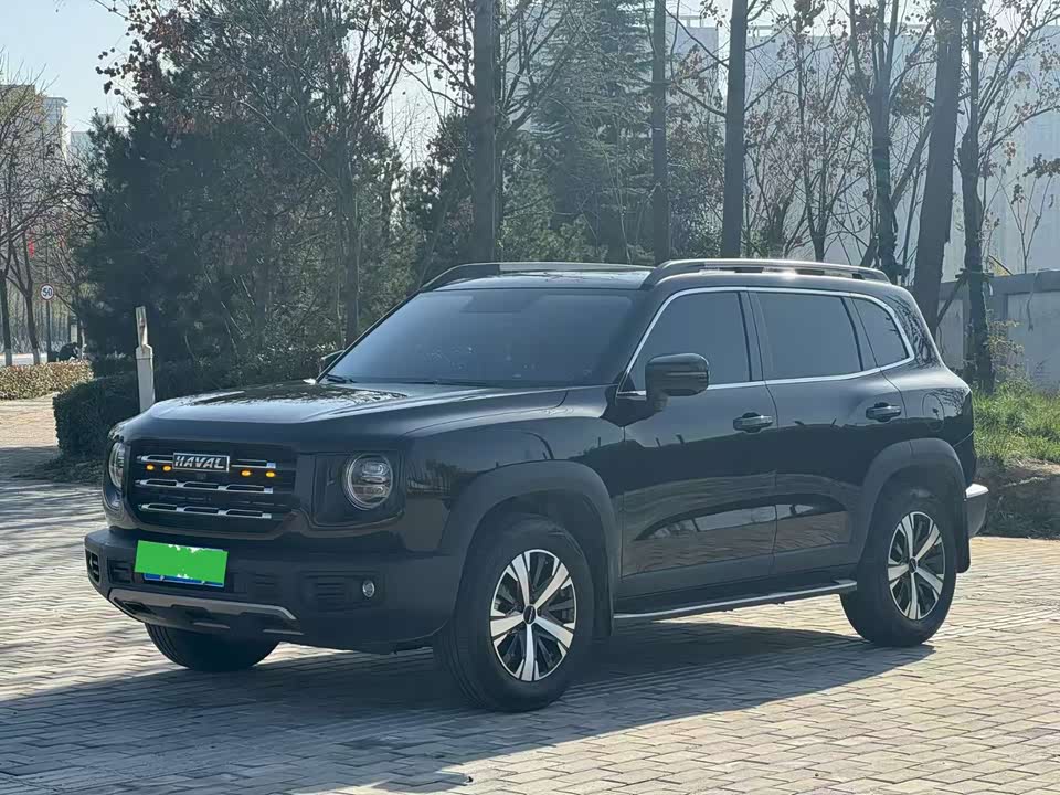 Haval Big dog