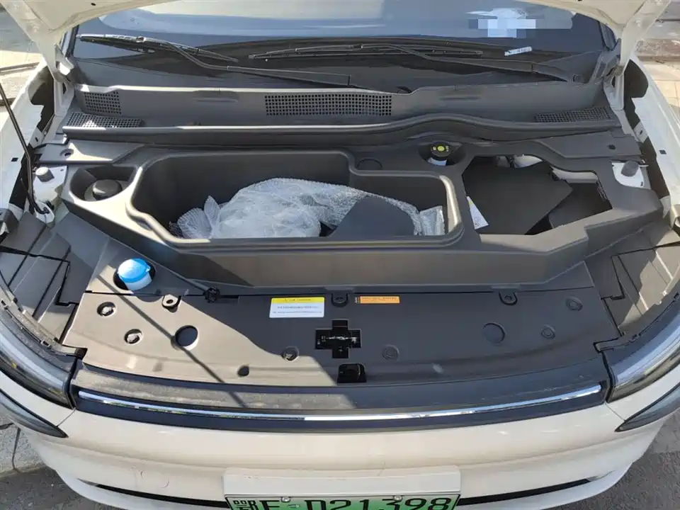 Dongfeng Nammi Nano 01