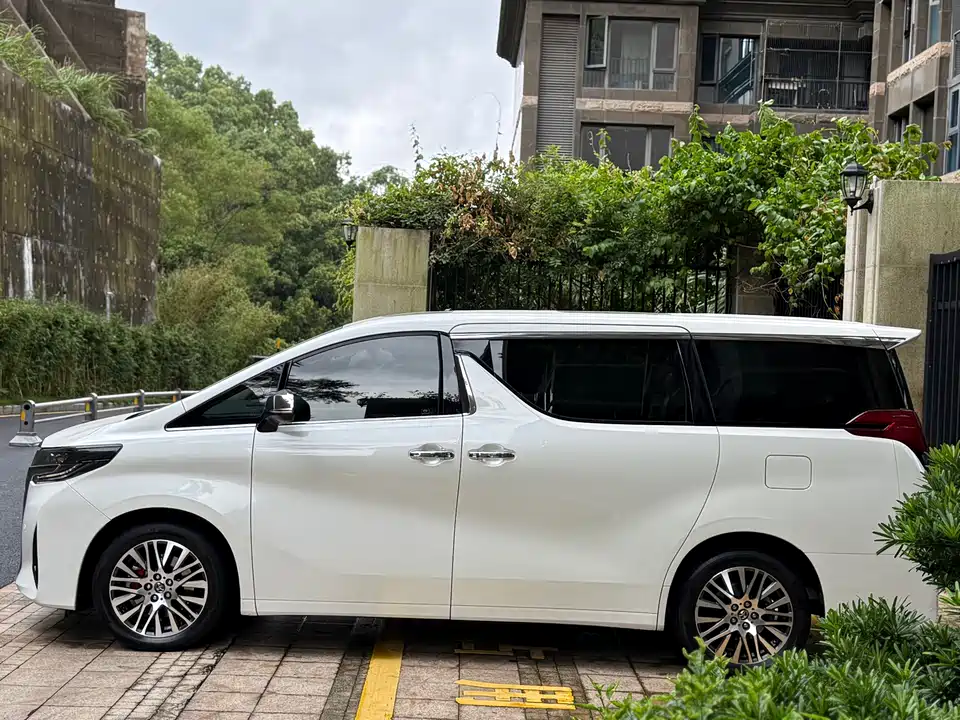 Toyota Elfa