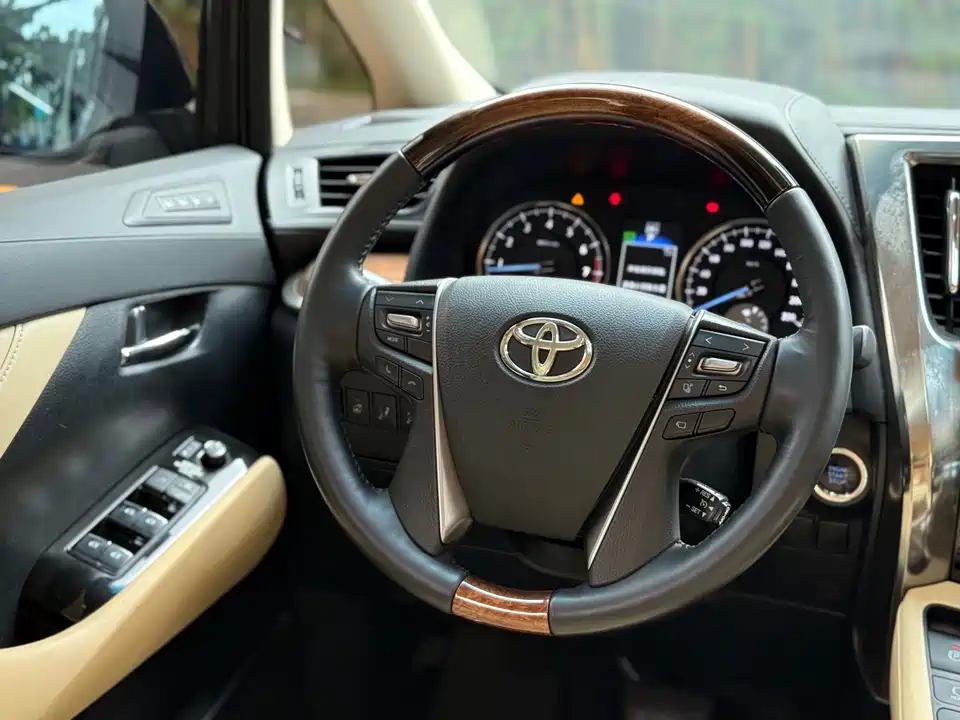 Toyota Elfa