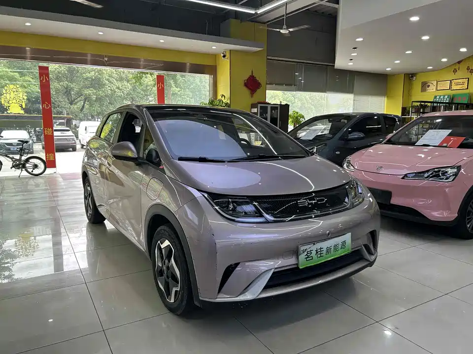BYD dolphin