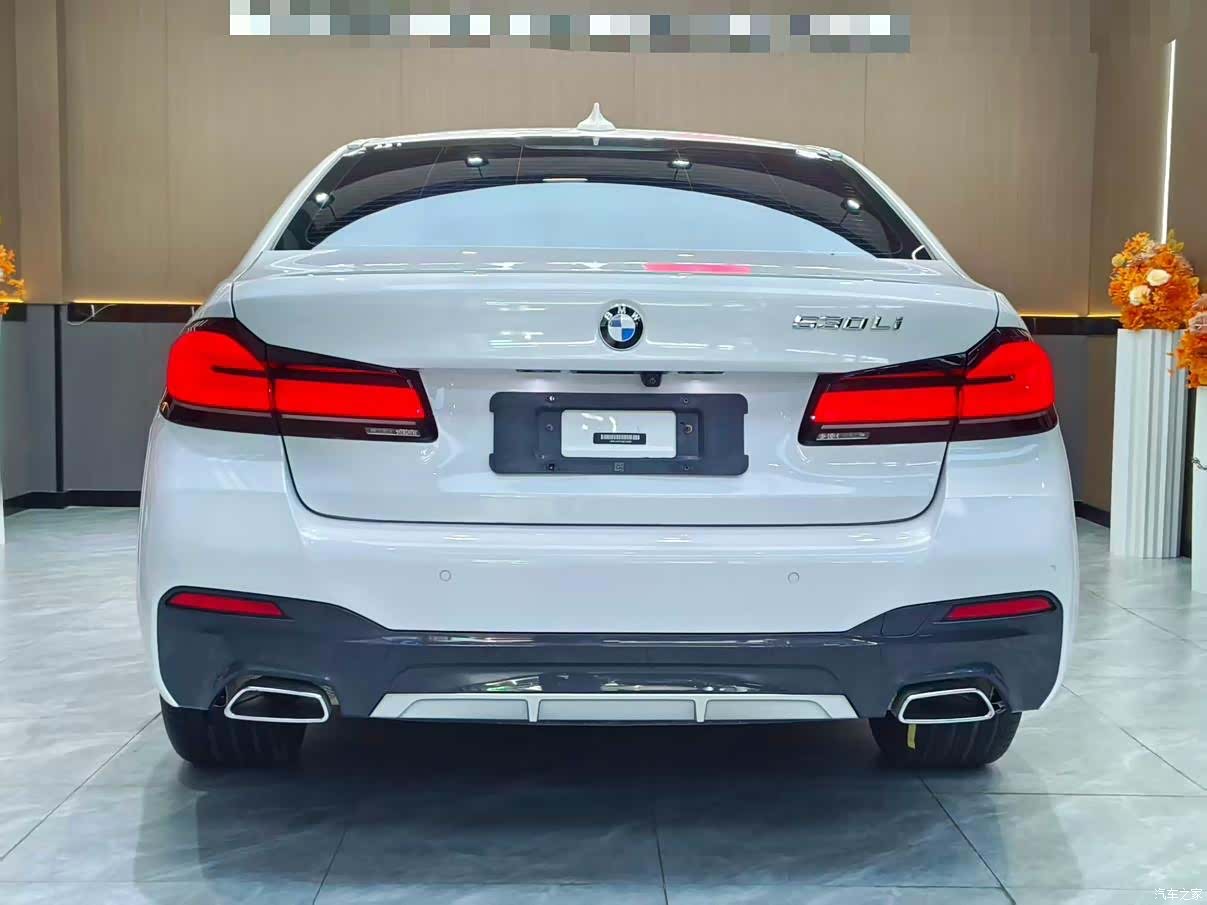 BMW 5 Series, 2022 6