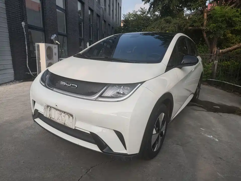 BYD dolphin