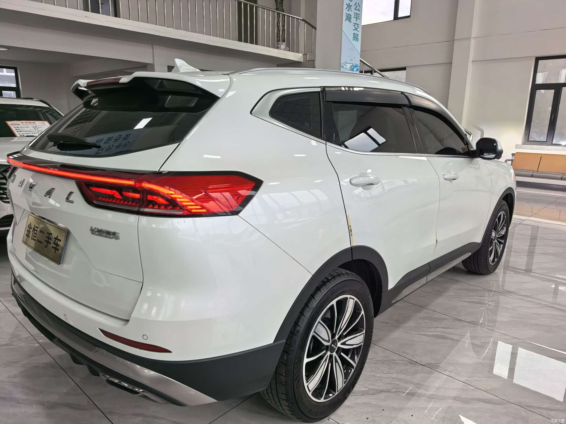 Haval H6, 2023 все фото