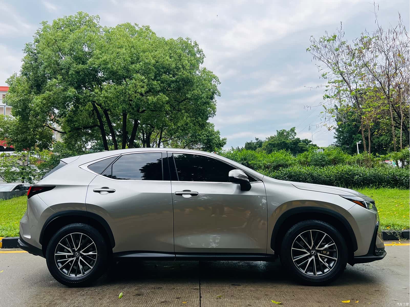 Lexus NX, 2024 8