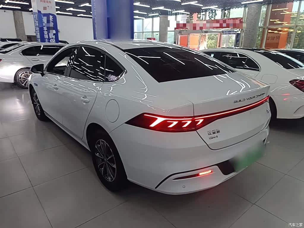 BYD Qin, 2024 все фото