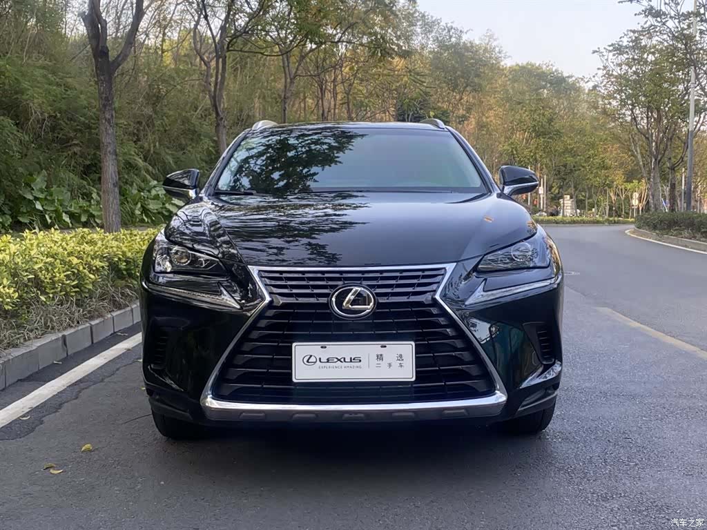 Lexus NX, 2018 2