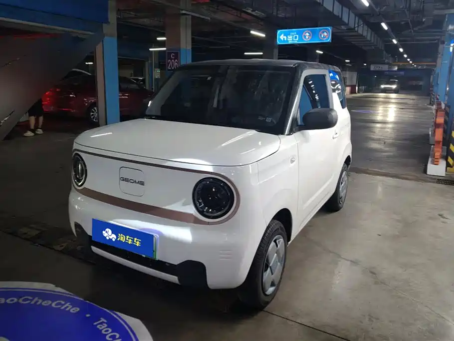 Geely Galaxy panda