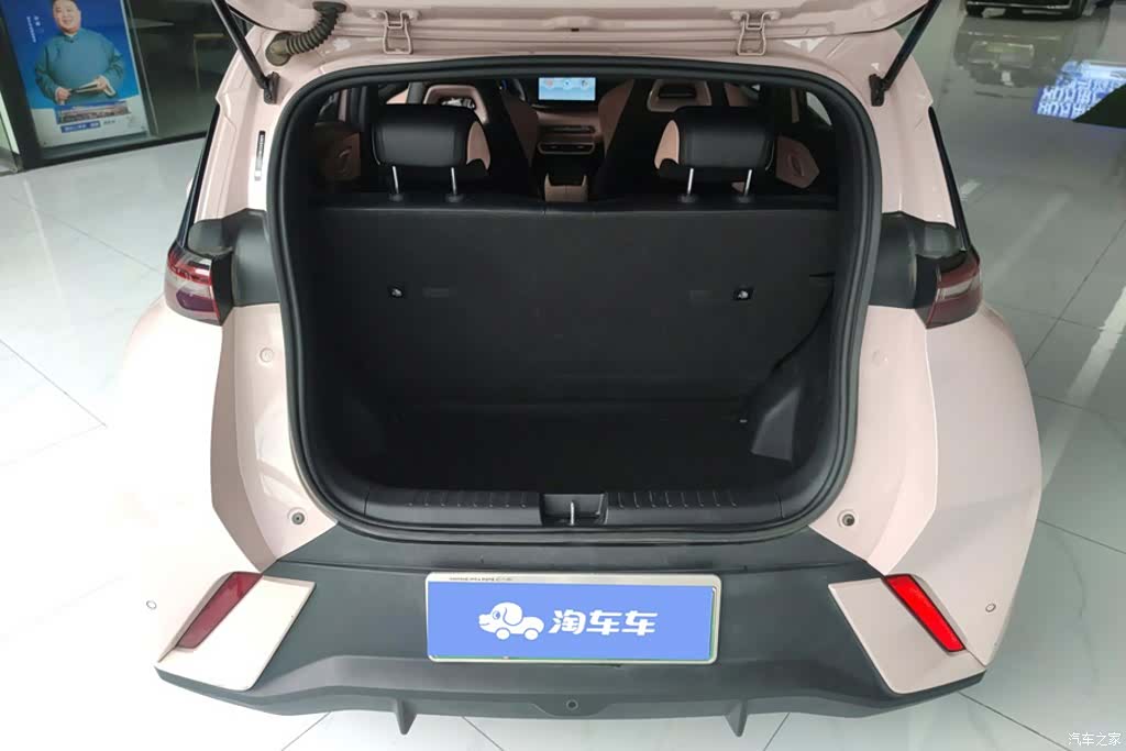 BYD Seagull, 2024 4