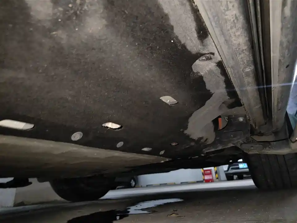 HarmonyOS Ask the world M7