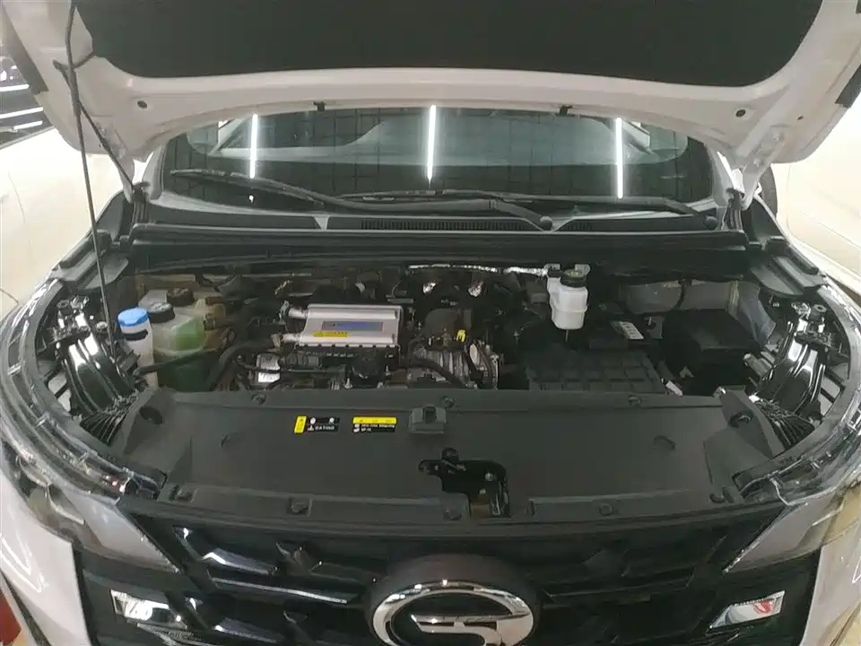 Trumpchi Trumpchi M6